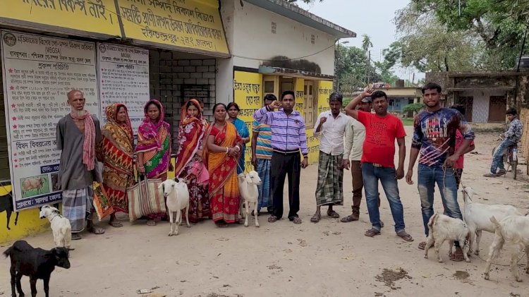 Harishchandrapur News |  ঝাঁ চকচকে পশুদের হাসপাতাল থাকলেও নেই চিকিৎসক