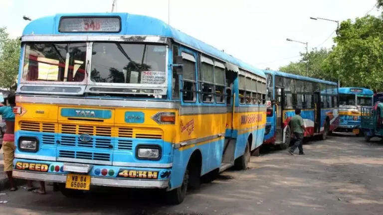 Bus