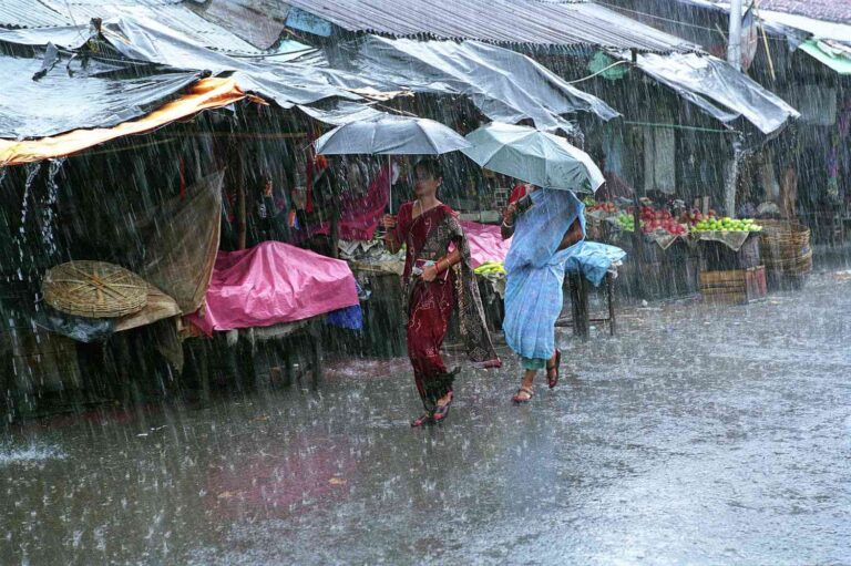 weather,
